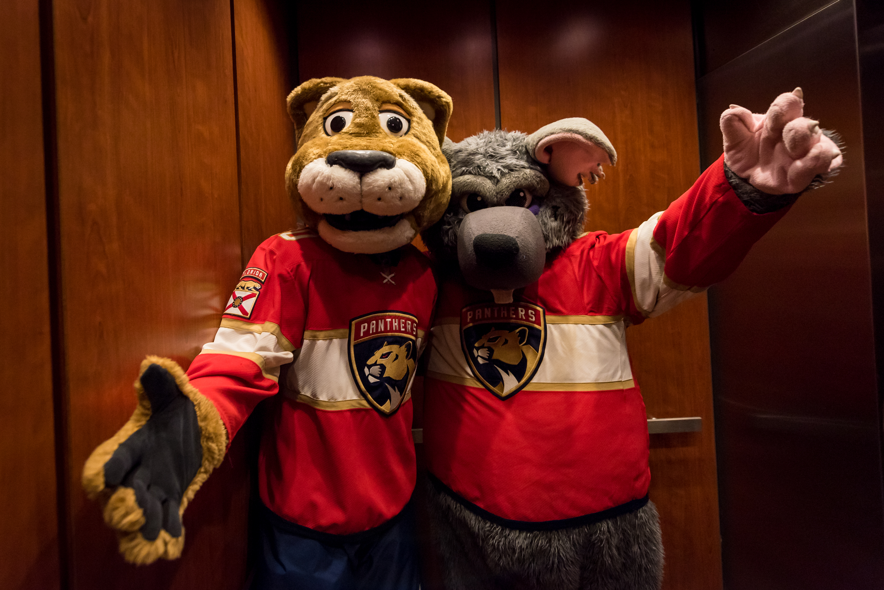 Who are the Florida Panthers' mascots? Get to know all about